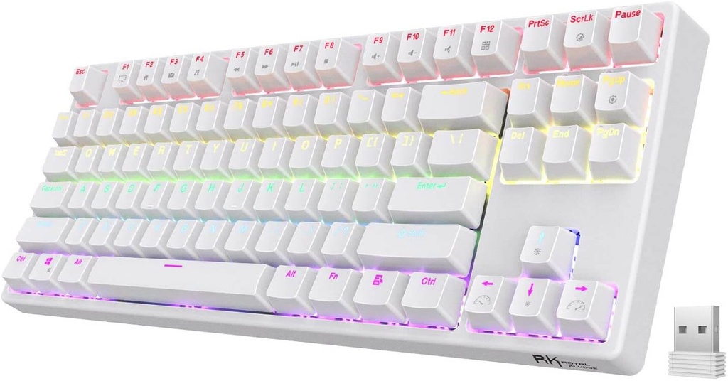 RK87 Hotswap Mechanical RGB Gaming Keyboard GearStudio PC Gaming 